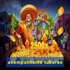 acompanhante tubarao